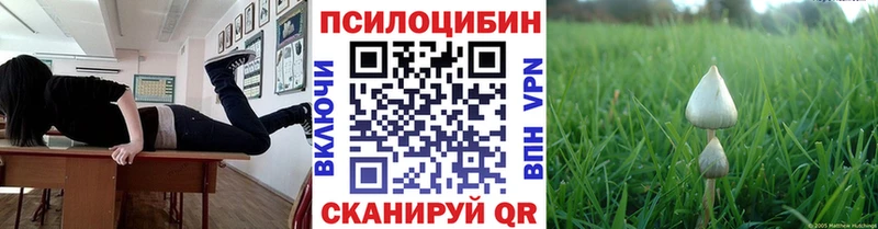 Псилоцибиновые грибы мухоморы ОМГ ОМГ сайт Гатчина