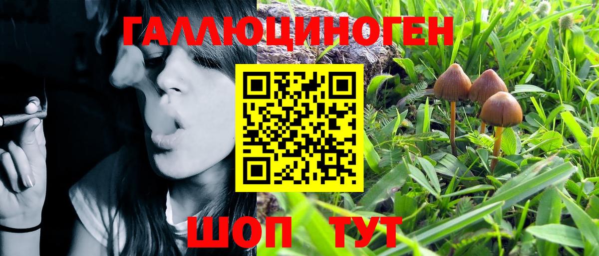 APVP Гатчина