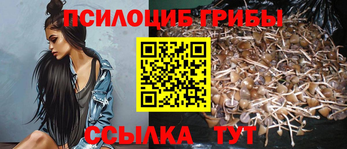 Псилоцибиновые грибы MAGIC MUSHROOMS Гатчина