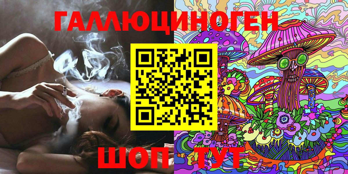 Гатчина  Псилоцибиновые грибы Psilocybine cubensis  Вход с VPN 